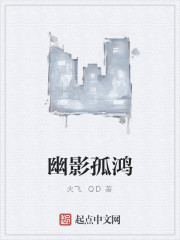 幽影孤鸿