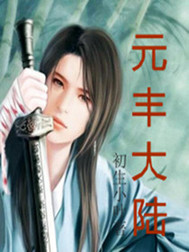 元丰大陆