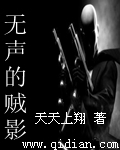 无声的贼影