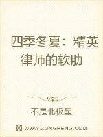 四季冬夏:精英律师的软肋