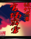 官场霹雳