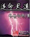 逆命天道