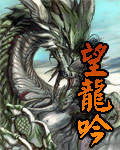 望龙吟