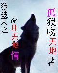 狼破天之冷月天地情