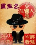 小强人生