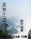 异界之盗帅