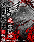 沃玛教主之异界纵横