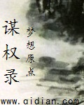 谋权录