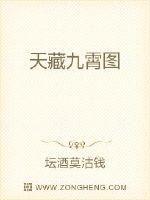 天藏九霄图