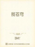 揽苍穹