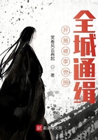 开局被李世民,全城通缉