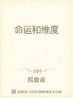 命运和维度