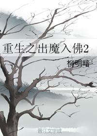重生之出魔入佛2