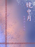 镜中月