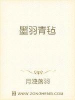 墨羽青毡