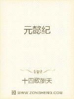 元懿纪