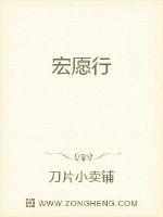 宏愿行