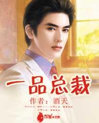 一品总裁