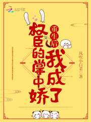 重生后我成了权臣的掌中娇(重生后我成了权臣的掌中娇南宝衣萧弈)