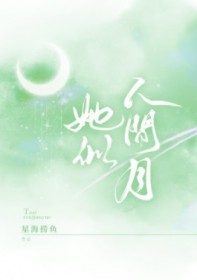 她似人间月