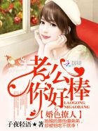 最强赘婿