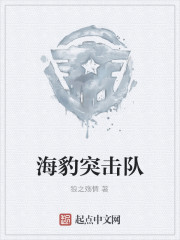 海豹突击队