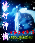 绝妙神偷