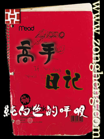 高手日记