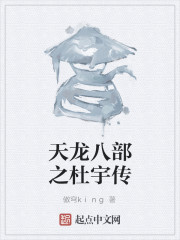 天龙八部之杜宇传