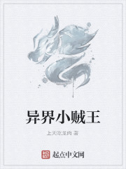 异界小贼王