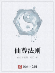 仙尊法则
