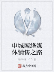 申城网络媒体销售之路