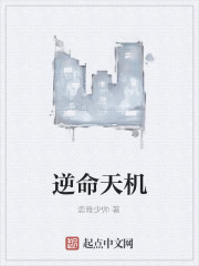 逆命天机