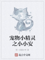 宠物小精灵之小小安