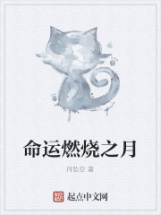 命运燃烧之月