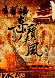 夺宝侠风