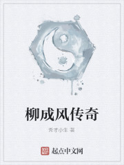 柳成风传奇