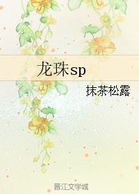 龙珠sp