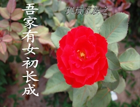 机械家族之吾家有女初长成