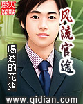 风流官途
