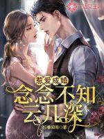 惹爱成婚:念念不知云几深