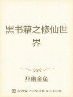 黑书籍之修仙世界