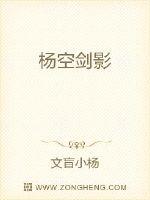 杨空剑影