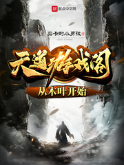 天道游戏阁:从木叶开始