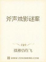 斧声烛影谜案