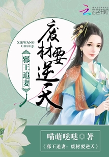 邪王追妻:废材要逆天