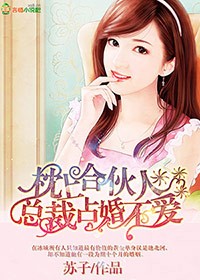 枕上合伙人，总裁占婚不爱
